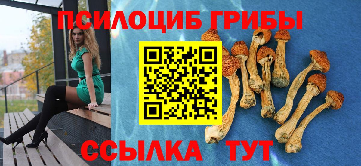 Галлюциногенные грибы ЛСД Тара